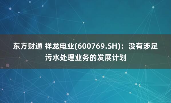 东方财通 祥龙电业(600769.SH)：没有涉足污水处理业务的发展计划