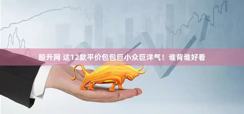 股升网 这12款平价包包巨小众巨洋气！谁背谁好看