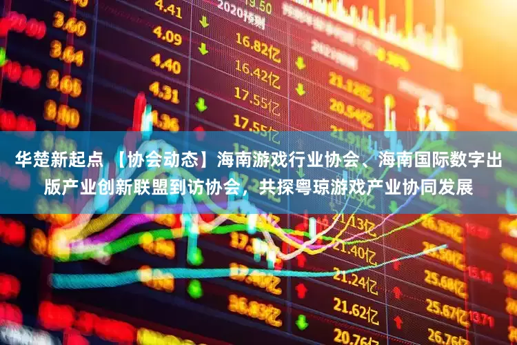 华楚新起点 【协会动态】海南游戏行业协会、海南国际数字出版产业创新联盟到访协会，共探粤琼游戏产业协同发展