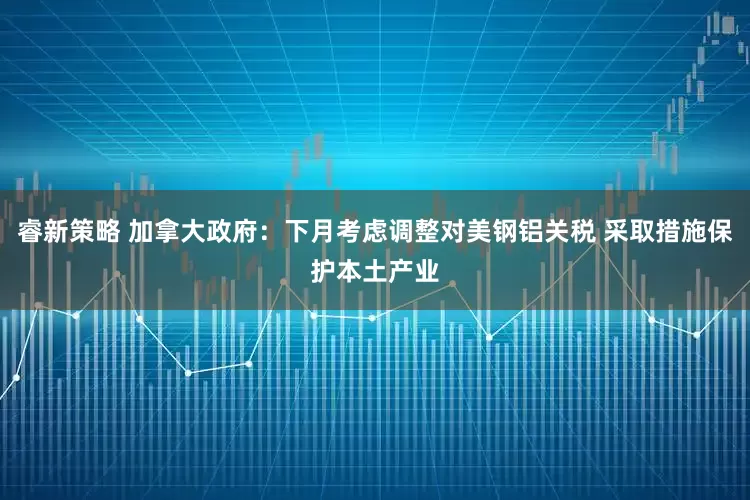 睿新策略 加拿大政府：下月考虑调整对美钢铝关税 采取措施保护本土产业