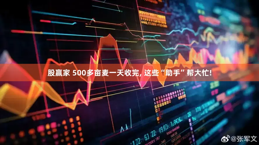 股赢家 500多亩麦一天收完, 这些“助手”帮大忙!