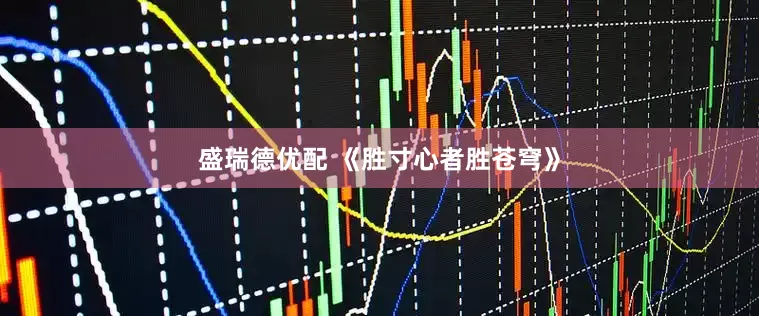 盛瑞德优配 《胜寸心者胜苍穹》